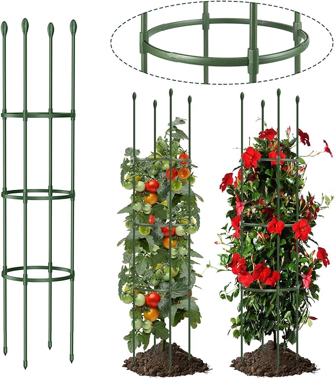 Trellis for Climbing Plants Outdoor - how to create rooftop or balcony garden