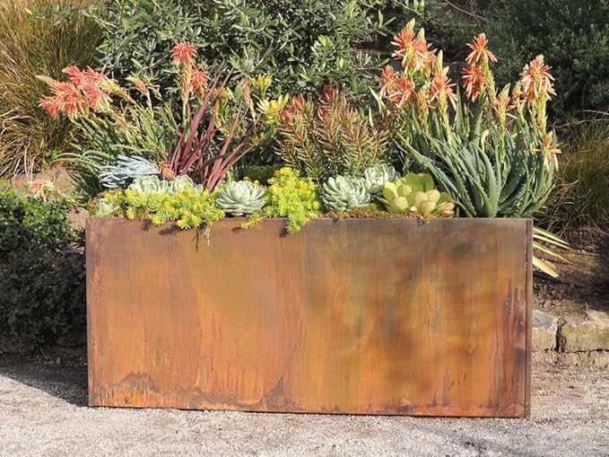 large planter - how to create your rooftop garden