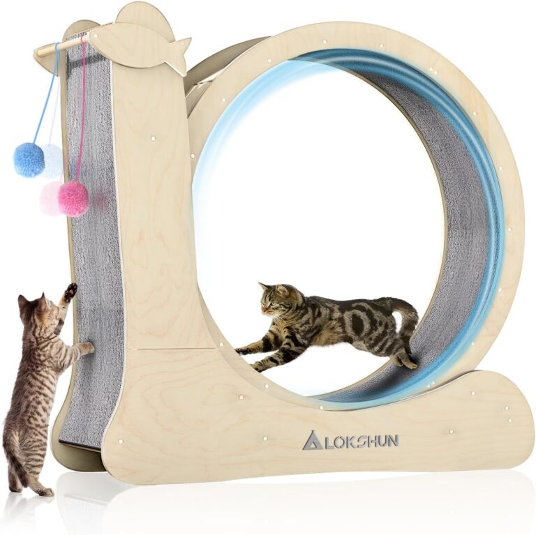 Natural Wood Cat Exercise Wheel with Built-in Cat Scratcher