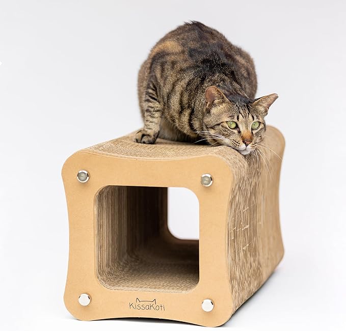 cat sustainable products - scratcher
